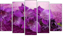 Pentaptychon