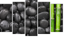 Pentaptychon