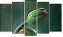 Pentaptychon