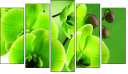 Pentaptychon