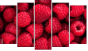 Pentaptychon