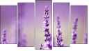Pentaptychon
