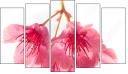 Pentaptychon
