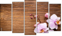 Pentaptychon