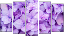 Pentaptychon