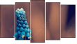 Pentaptychon