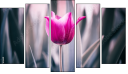 Pentaptychon