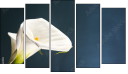 Pentaptychon