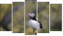 Pentaptychon