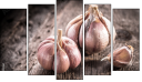 Pentaptychon