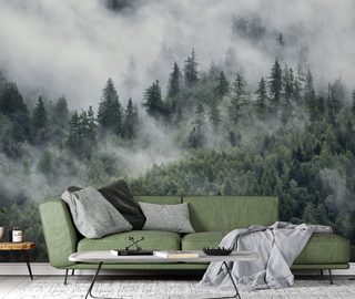 morgendlicher nebel uber der waldlandschaft fototapeten landschaften fototapeten demural