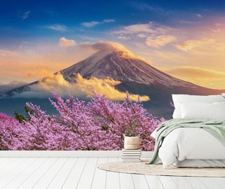 vulkanische harmonie mit bluhender kirschblute fototapeten landschaften fototapeten demural