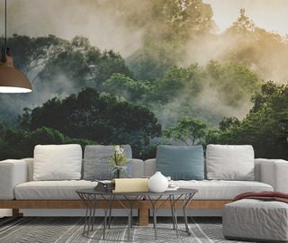 morgendlicher nebel uber dem tropischen wald fototapete furs wohnzimmer fototapeten demural