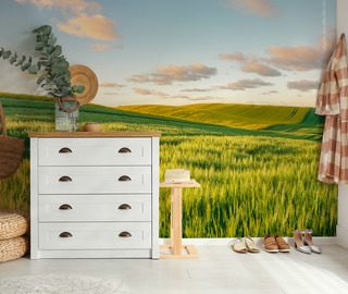 sonnige hugel im abendlicht fototapeten landschaften fototapeten demural