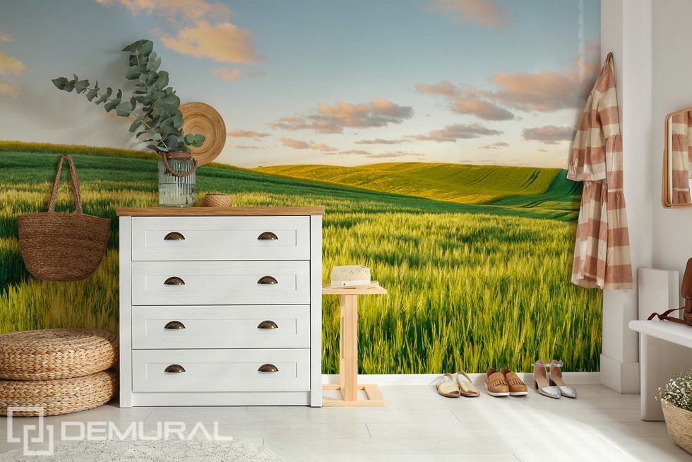 Sonnige Hügel im Abendlicht Fototapeten Landschaften Fototapeten Demural