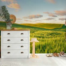 Sonnige-hugel-im-abendlicht-fototapeten-landschaften-fototapeten-demural