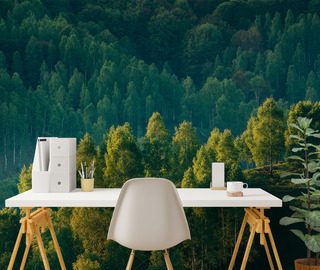 tiefe des waldes mit blick auf die baume fototapeten landschaften fototapeten demural