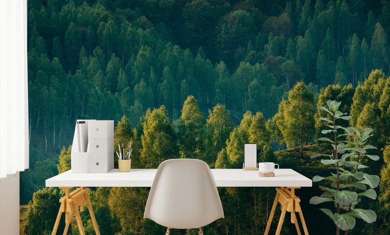 tiefe des waldes mit blick auf die baume fototapeten landschaften fototapeten demural