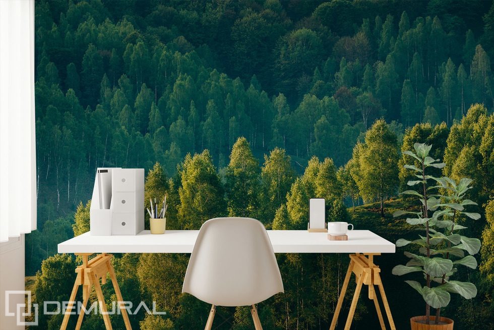 Tiefe des Waldes mit Blick auf die Bäume Fototapeten Landschaften Fototapeten Demural