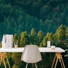 Tiefe-des-waldes-mit-blick-auf-die-baume-fototapeten-landschaften-fototapeten-demural