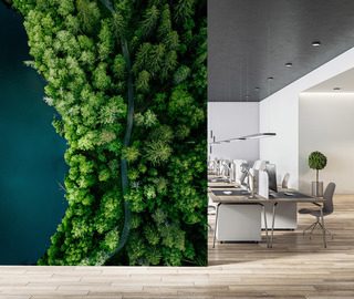 waldpfad am wasser aus der vogelperspektive fototapete furs buro fototapeten demural