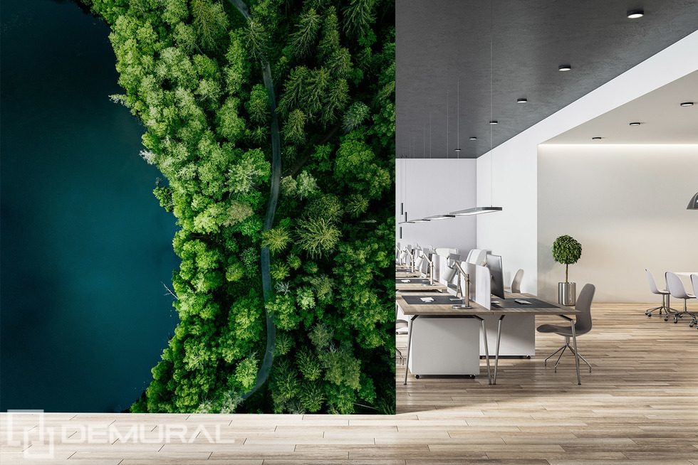 Waldpfad am Wasser aus der Vogelperspektive Fototapete fürs Büro Fototapeten Demural