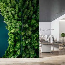 Waldpfad-am-wasser-aus-der-vogelperspektive-fototapete-furs-buro-fototapeten-demural