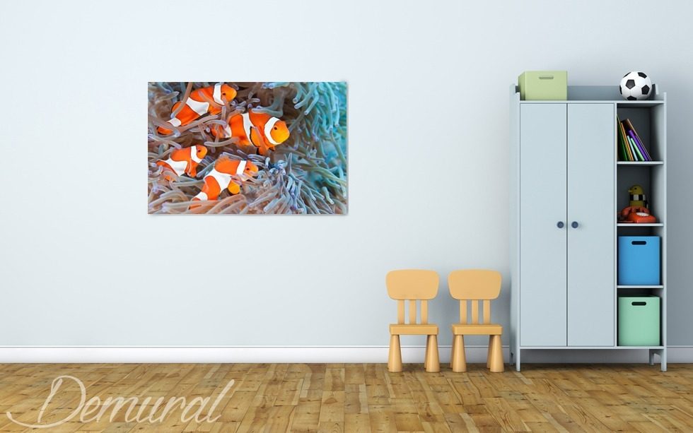 Das Wand-Aquarium Wandbilder für Kinder Bilder Demural