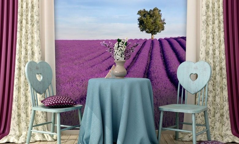 zarte lavenderfelder fototapeten provence fototapeten demural