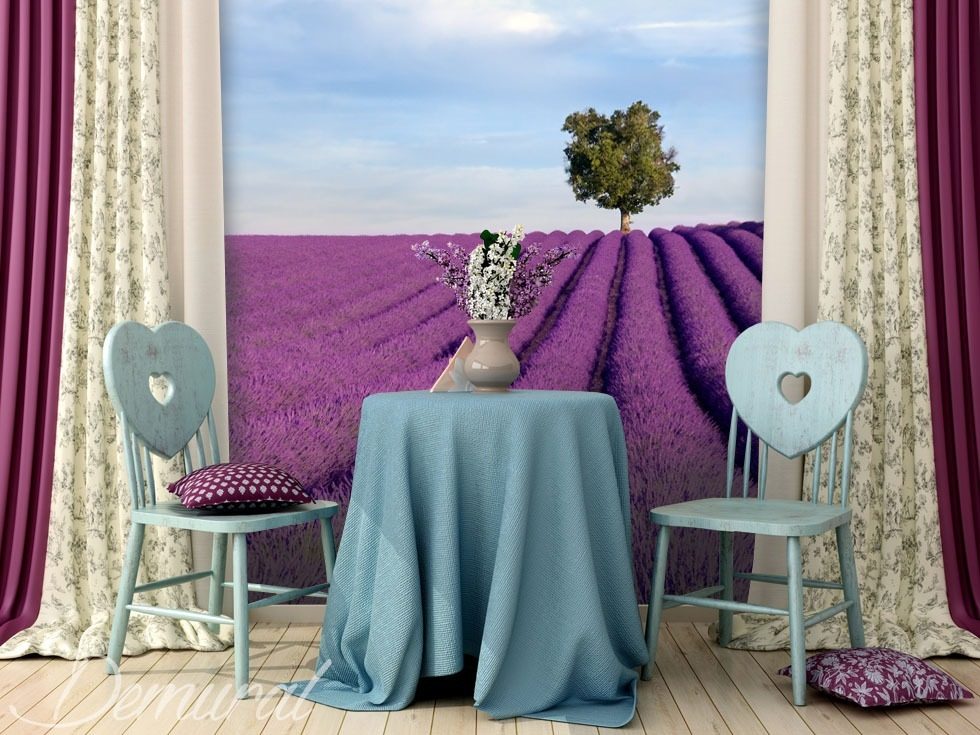 Zarte Lavenderfelder Fototapeten Provence Fototapeten Demural