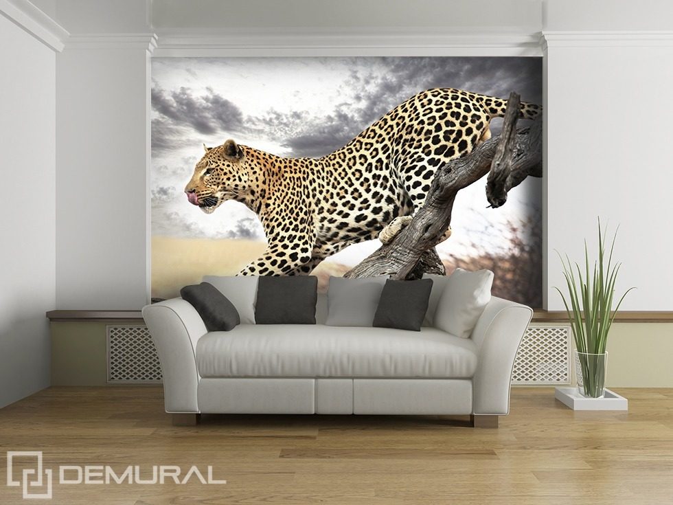 Gepard-Sprung Fototapeten Tiere Fototapeten Demural