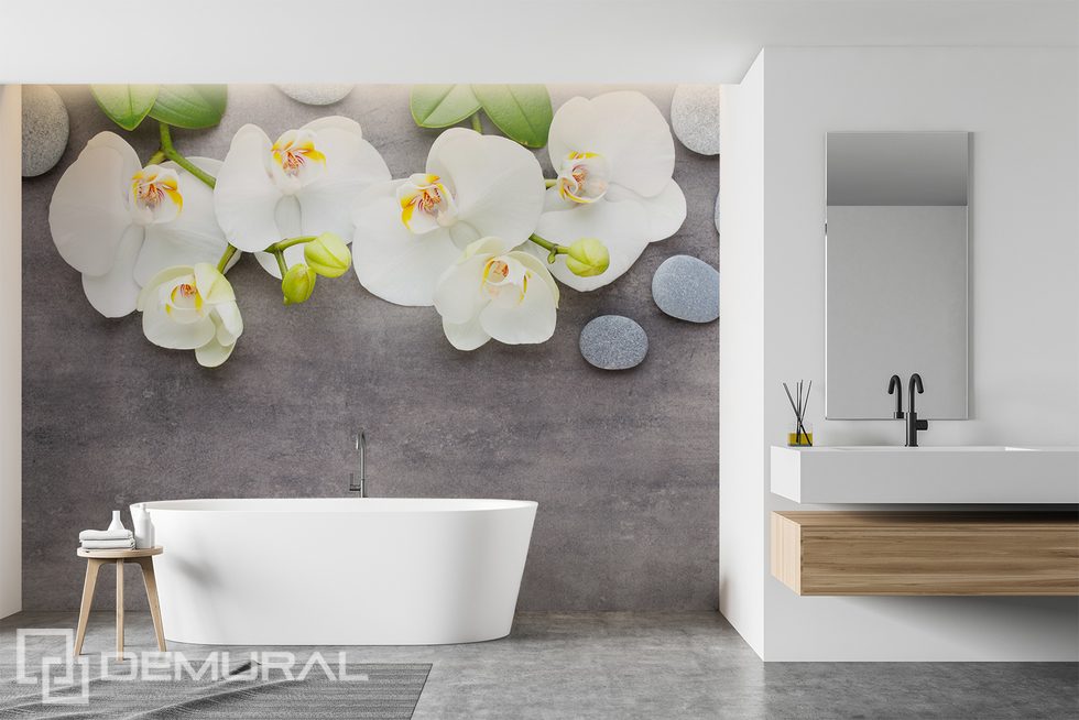 Dekoration für den Spa-Salon zu Hause - genießen Sie die Entspannung Fototapeten für Badezimmer Fototapeten Demural