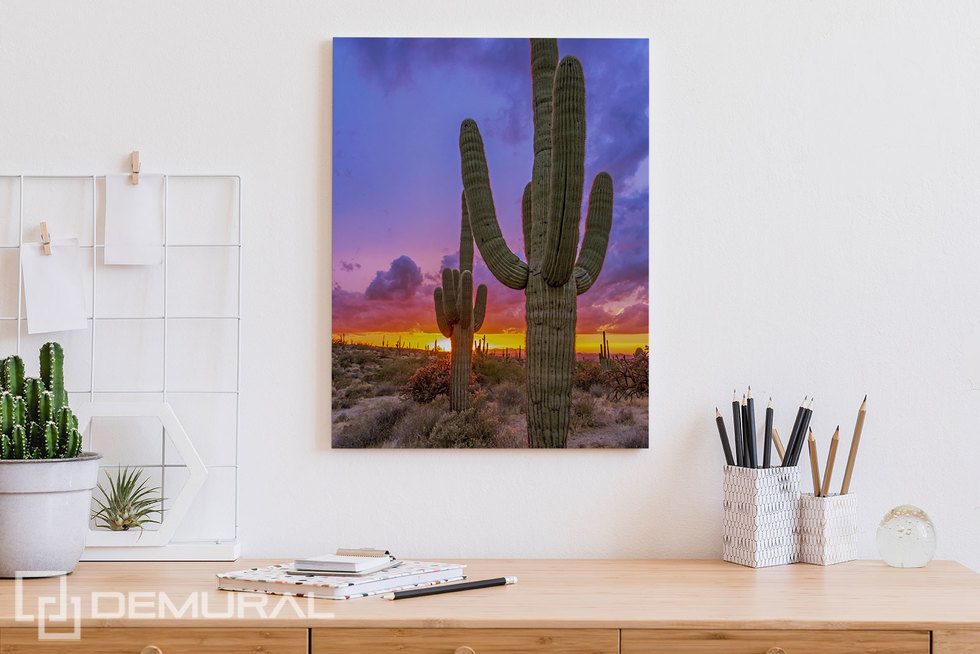 Sonnenuntergang über dem Kaktustal Bilder für büro Bilder Demural