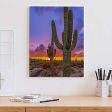 Sonnenuntergang-uber-dem-kaktustal-bilder-fur-buro-bilder-demural